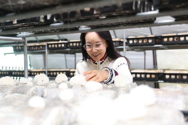 1994182814_neG8Rbsz_66855d2a639787cf8da0